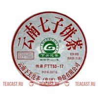 Сягуань FTT53 2017
