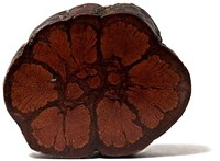 Подставка Дерево #990347 990347 Подставка Дерево #990347 990347